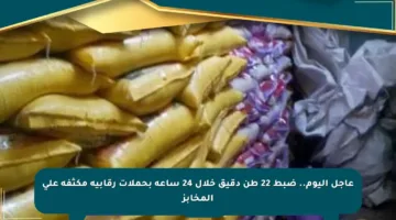 عاجل اليوم.. ضبط 22 طن دقيق خلال 24 ساعة بحملات رقابية مكثفة على المخابز